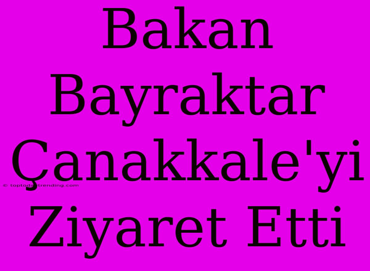 Bakan Bayraktar Çanakkale'yi Ziyaret Etti