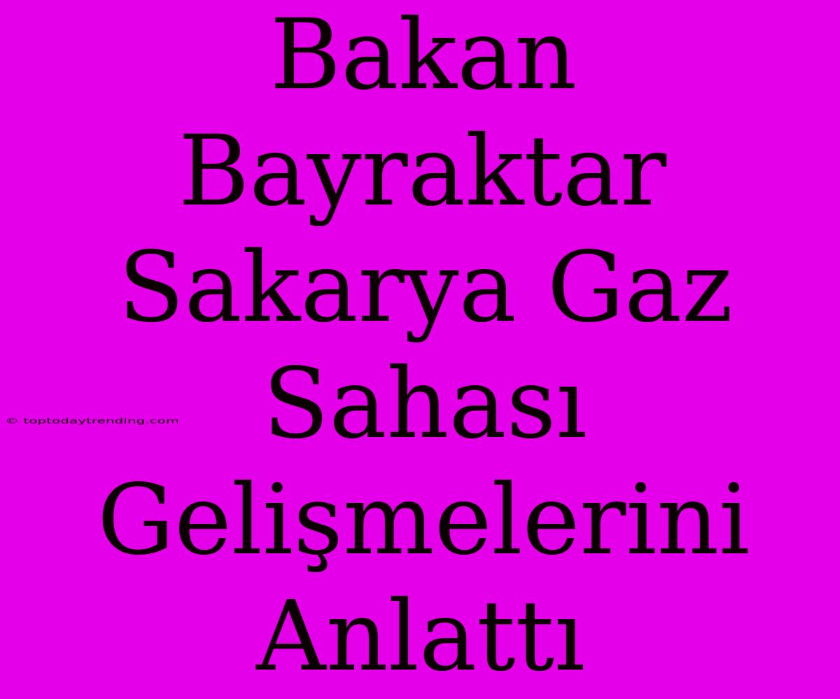 Bakan Bayraktar Sakarya Gaz Sahası Gelişmelerini Anlattı