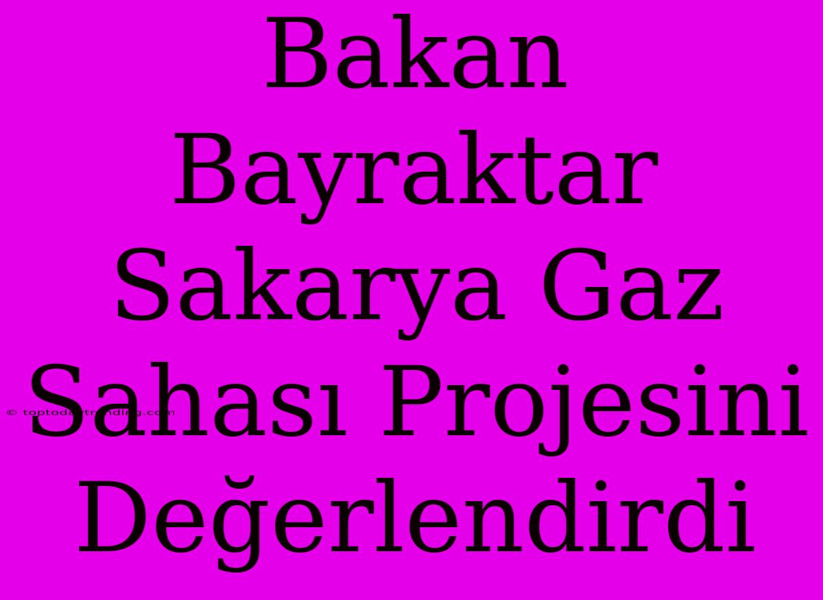 Bakan Bayraktar Sakarya Gaz Sahası Projesini Değerlendirdi