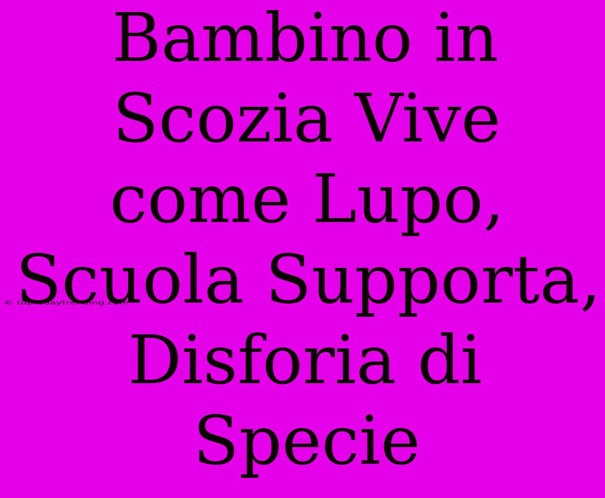 Bambino In Scozia Vive Come Lupo, Scuola Supporta, Disforia Di Specie