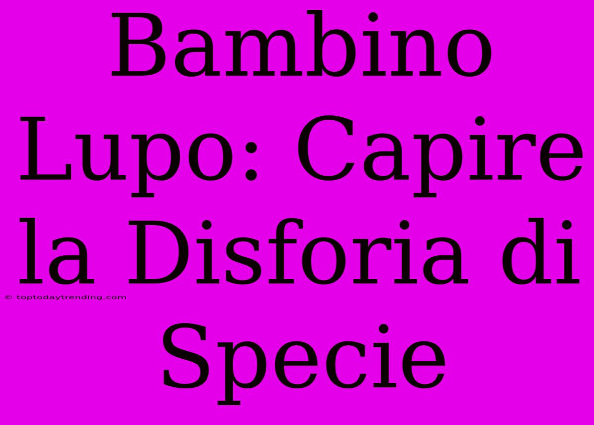 Bambino Lupo: Capire La Disforia Di Specie