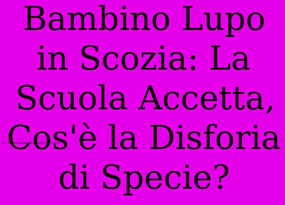 Bambino Lupo In Scozia: La Scuola Accetta, Cos'è La Disforia Di Specie?