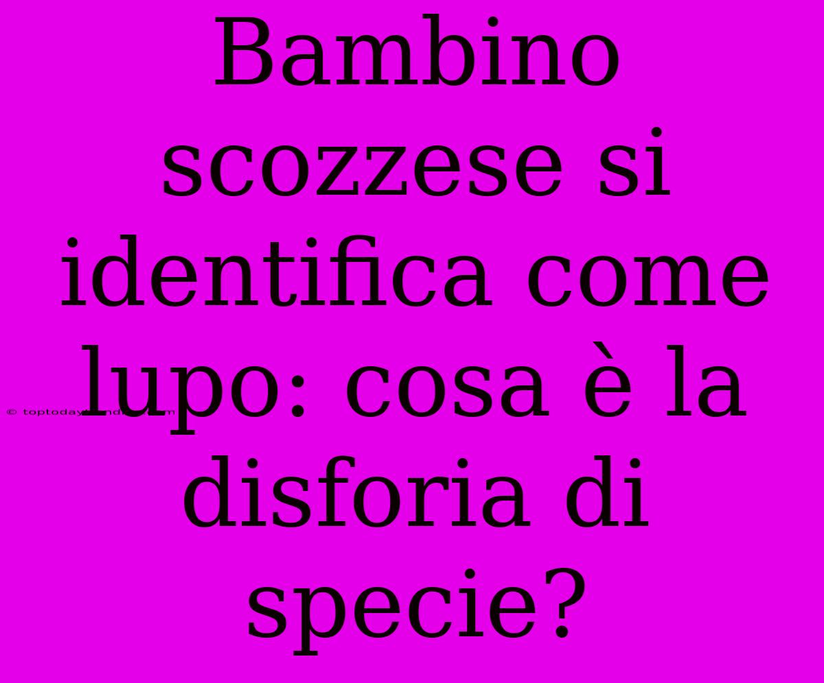 Bambino Scozzese Si Identifica Come Lupo: Cosa È La Disforia Di Specie?