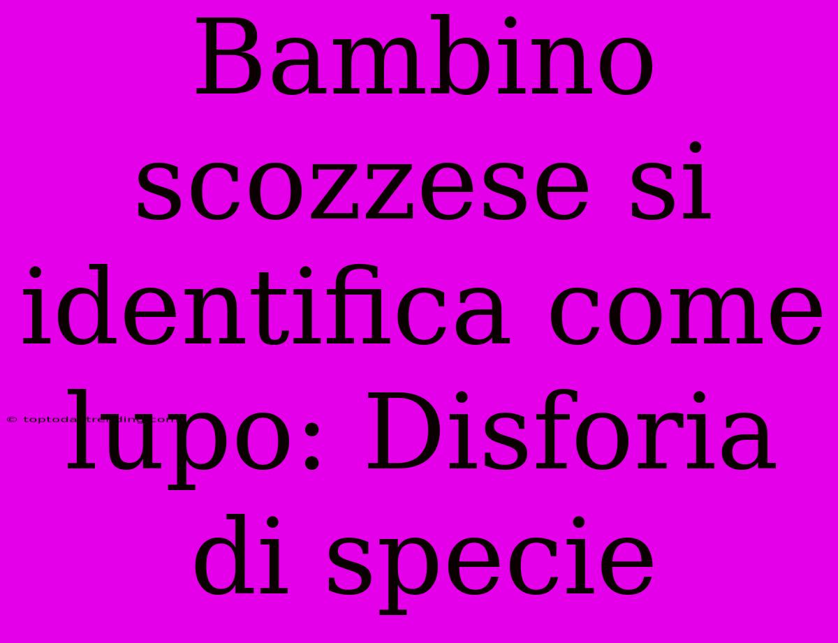 Bambino Scozzese Si Identifica Come Lupo: Disforia Di Specie