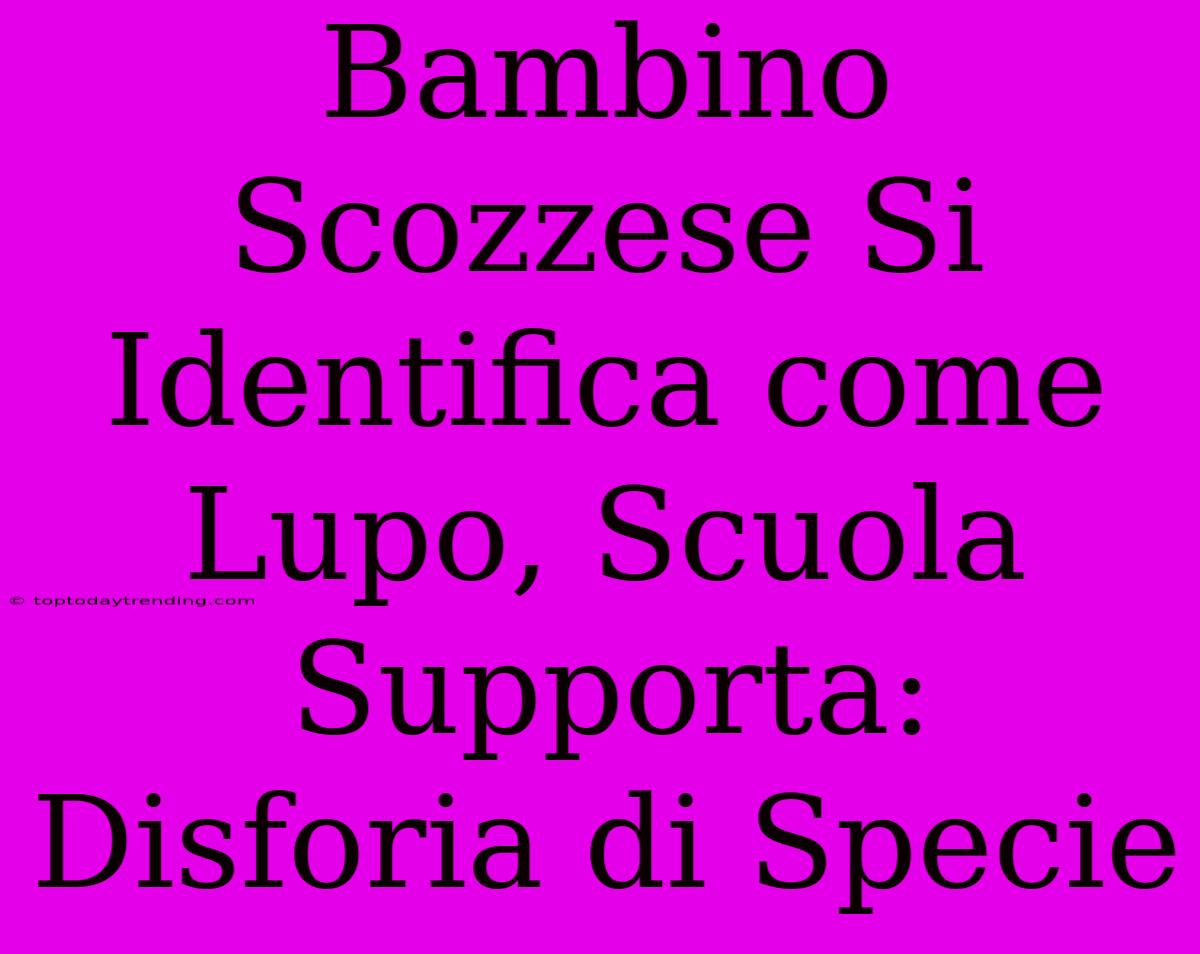 Bambino Scozzese Si Identifica Come Lupo, Scuola Supporta: Disforia Di Specie