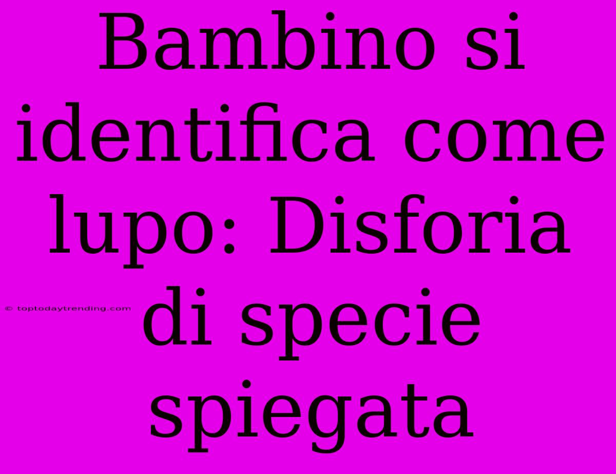 Bambino Si Identifica Come Lupo: Disforia Di Specie Spiegata