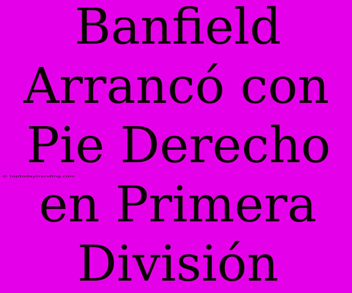 Banfield Arrancó Con Pie Derecho En Primera División