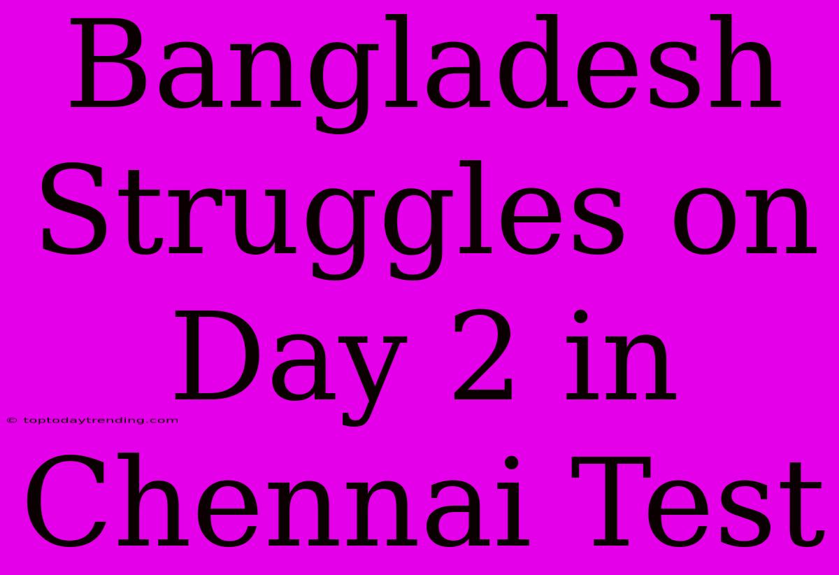 Bangladesh Struggles On Day 2 In Chennai Test