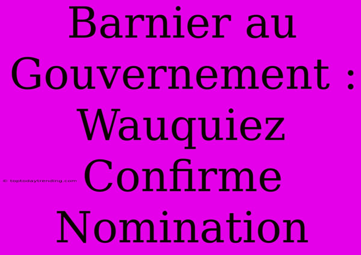 Barnier Au Gouvernement : Wauquiez Confirme Nomination