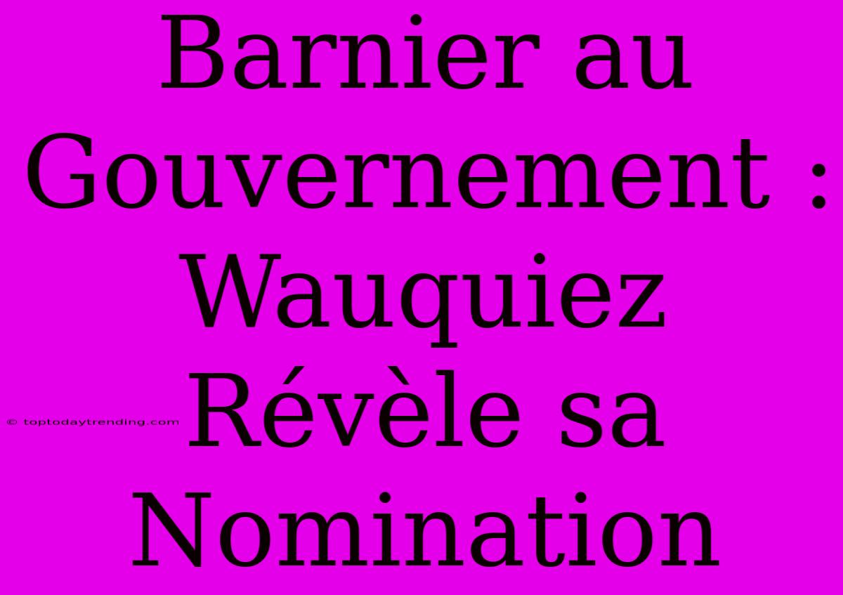 Barnier Au Gouvernement : Wauquiez Révèle Sa Nomination