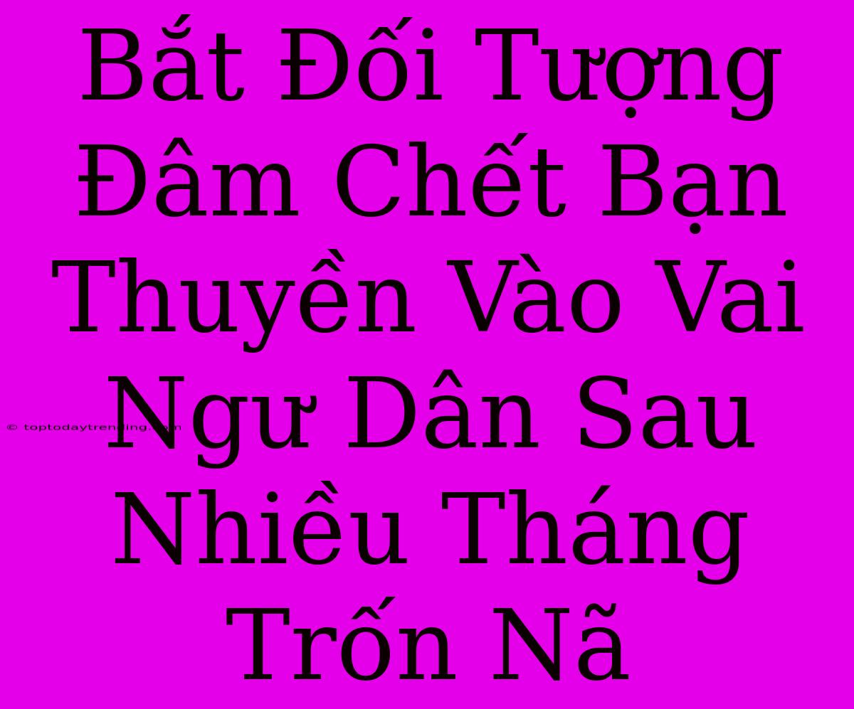 Bắt Đối Tượng Đâm Chết Bạn Thuyền Vào Vai Ngư Dân Sau Nhiều Tháng Trốn Nã