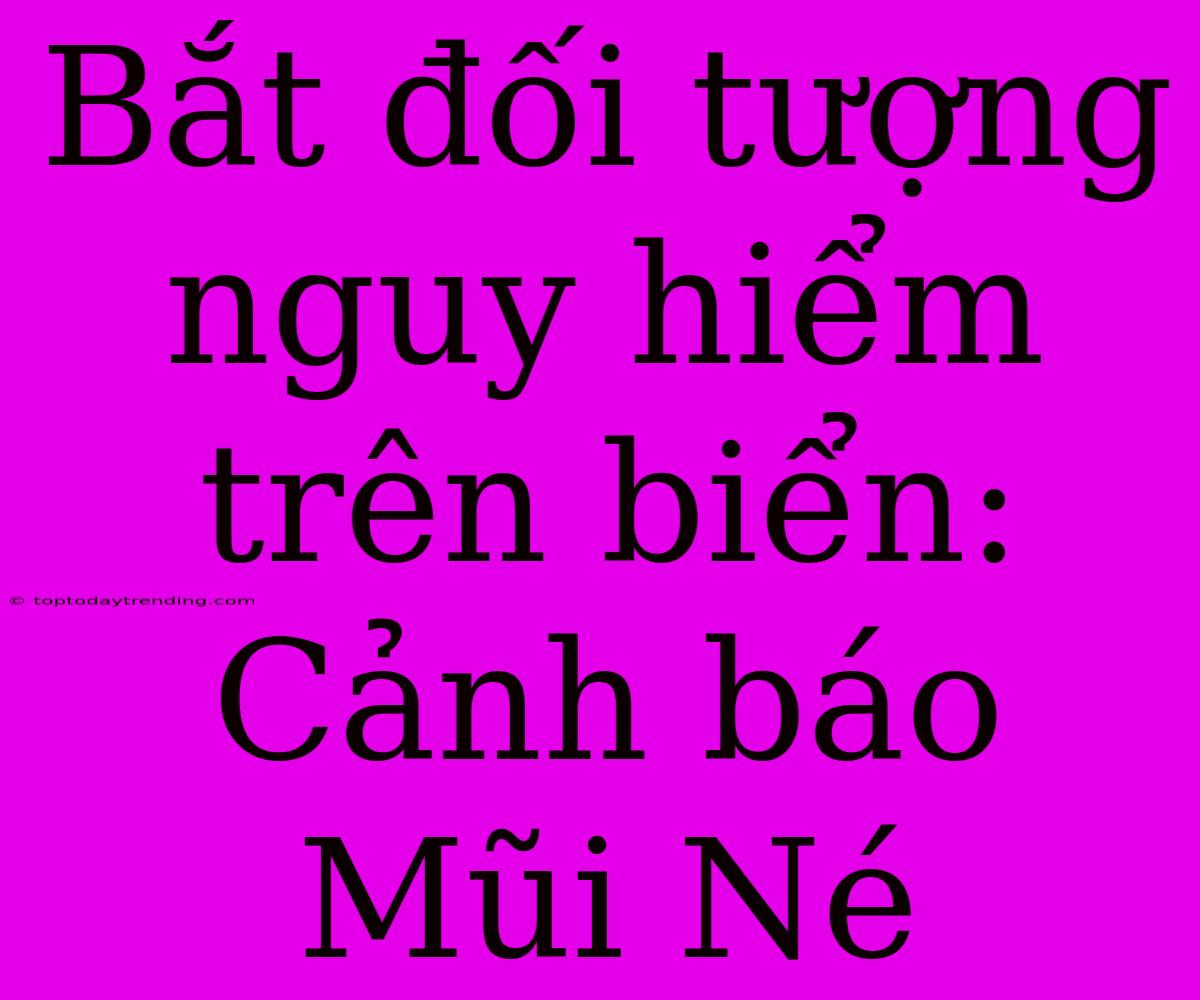 Bắt Đối Tượng Nguy Hiểm Trên Biển: Cảnh Báo Mũi Né