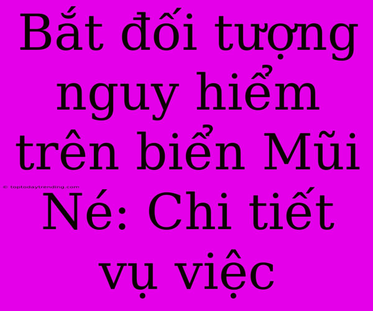 Bắt Đối Tượng Nguy Hiểm Trên Biển Mũi Né: Chi Tiết Vụ Việc