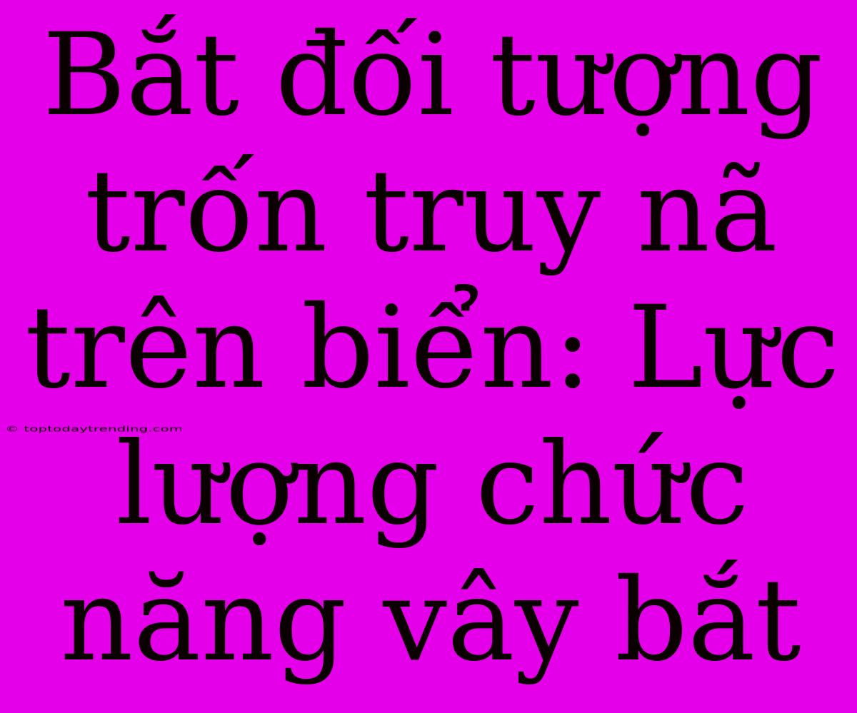 Bắt Đối Tượng Trốn Truy Nã Trên Biển: Lực Lượng Chức Năng Vây Bắt