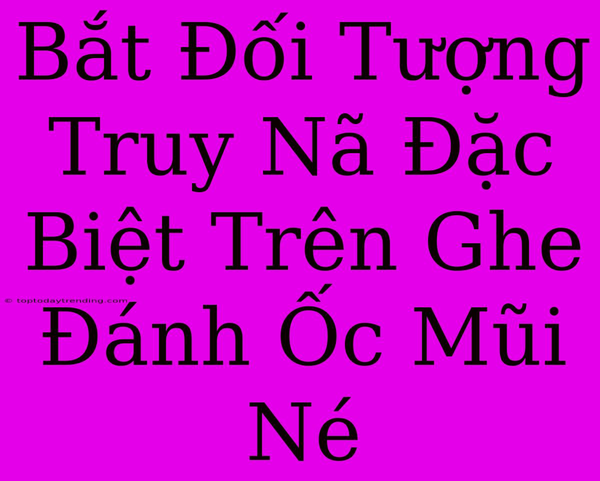 Bắt Đối Tượng Truy Nã Đặc Biệt Trên Ghe Đánh Ốc Mũi Né