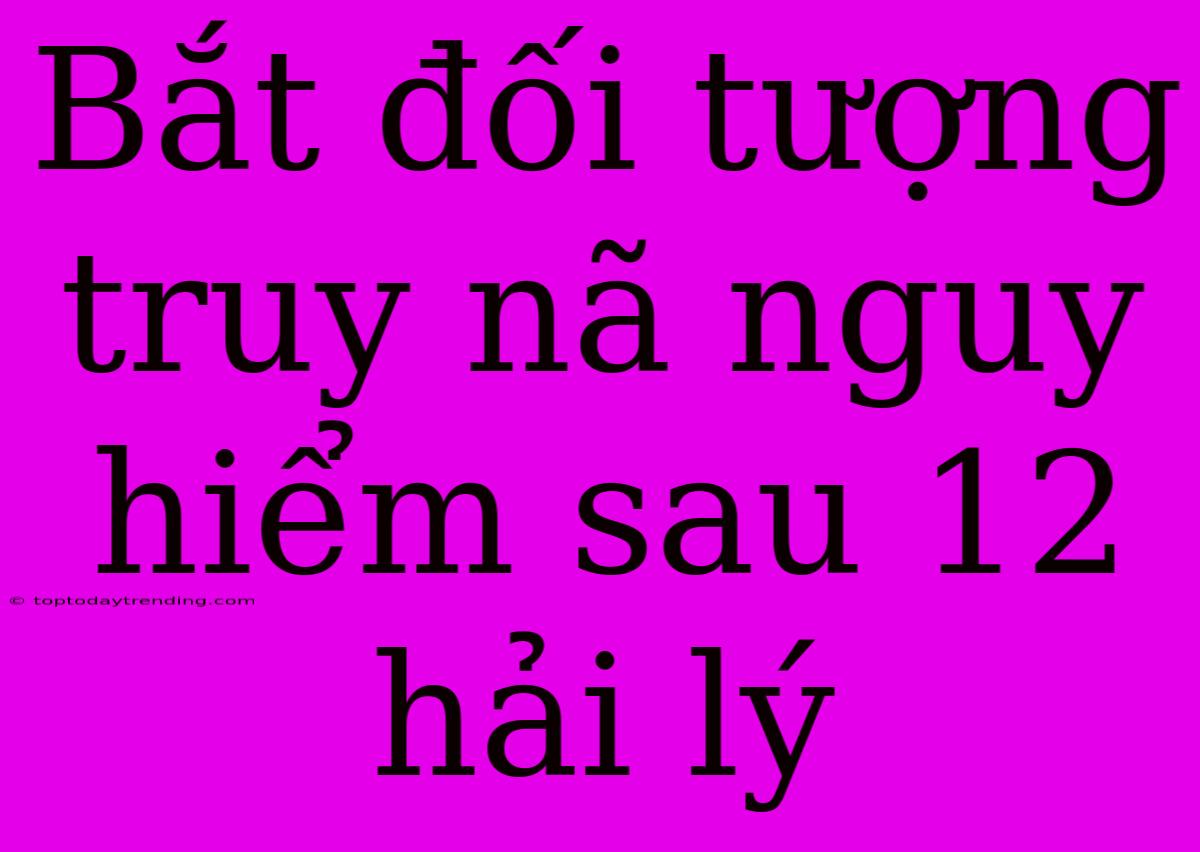 Bắt Đối Tượng Truy Nã Nguy Hiểm Sau 12 Hải Lý