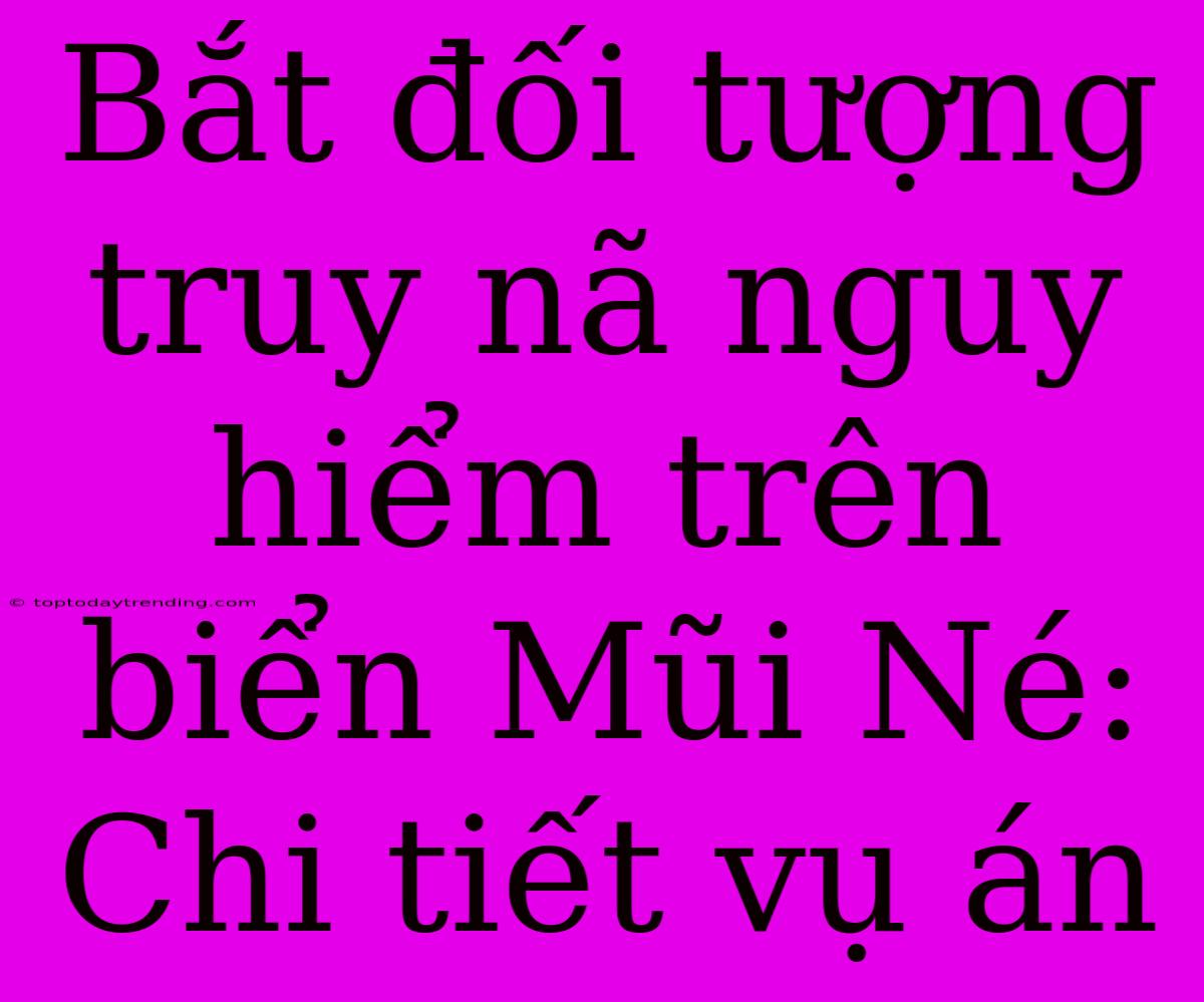 Bắt Đối Tượng Truy Nã Nguy Hiểm Trên Biển Mũi Né: Chi Tiết Vụ Án