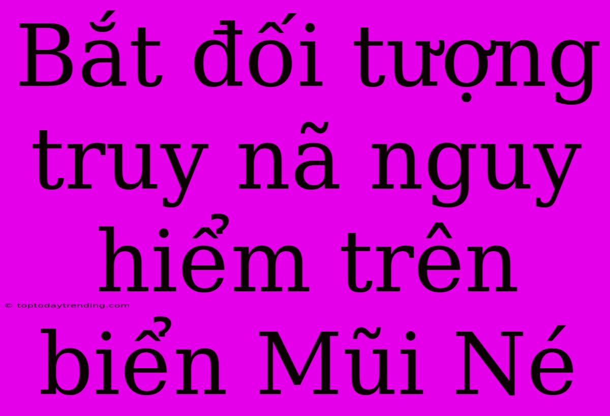 Bắt Đối Tượng Truy Nã Nguy Hiểm Trên Biển Mũi Né