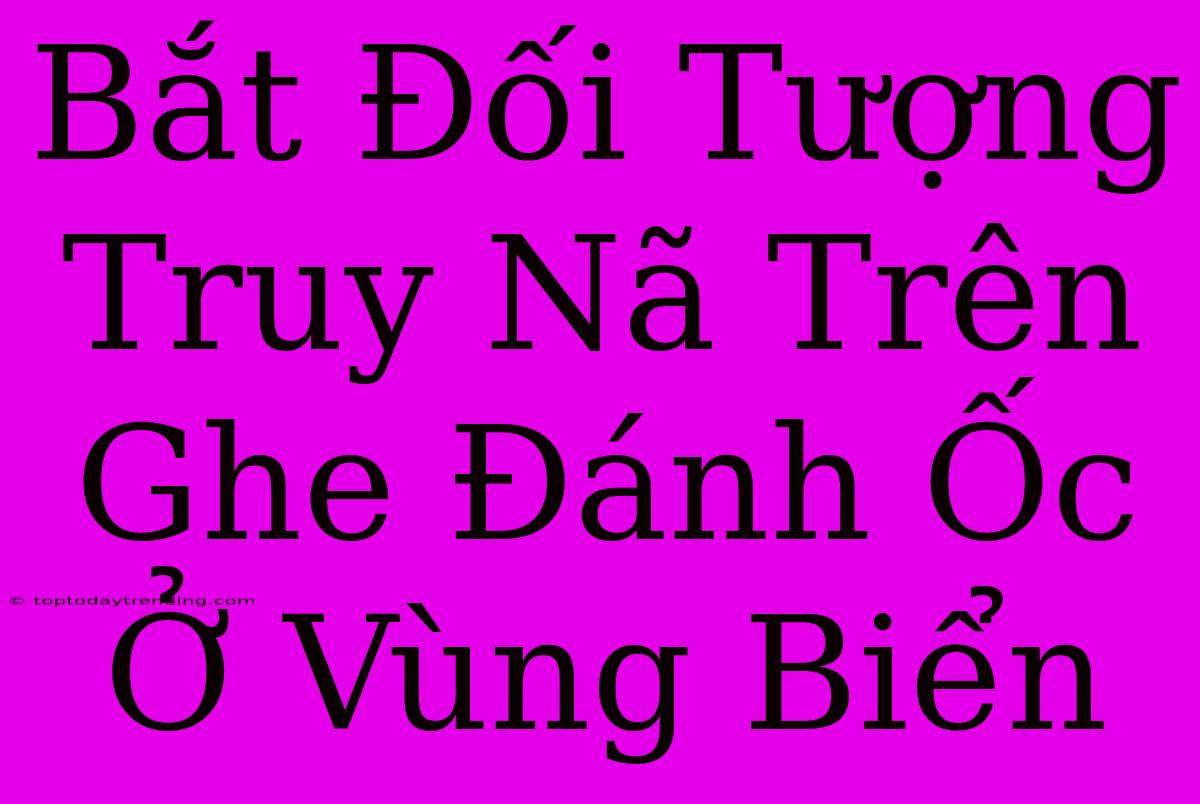 Bắt Đối Tượng Truy Nã Trên Ghe Đánh Ốc Ở Vùng Biển