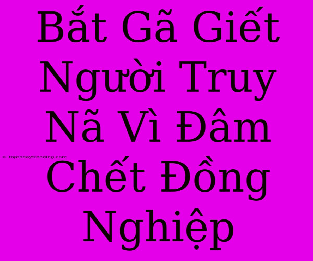 Bắt Gã Giết Người Truy Nã Vì Đâm Chết Đồng Nghiệp