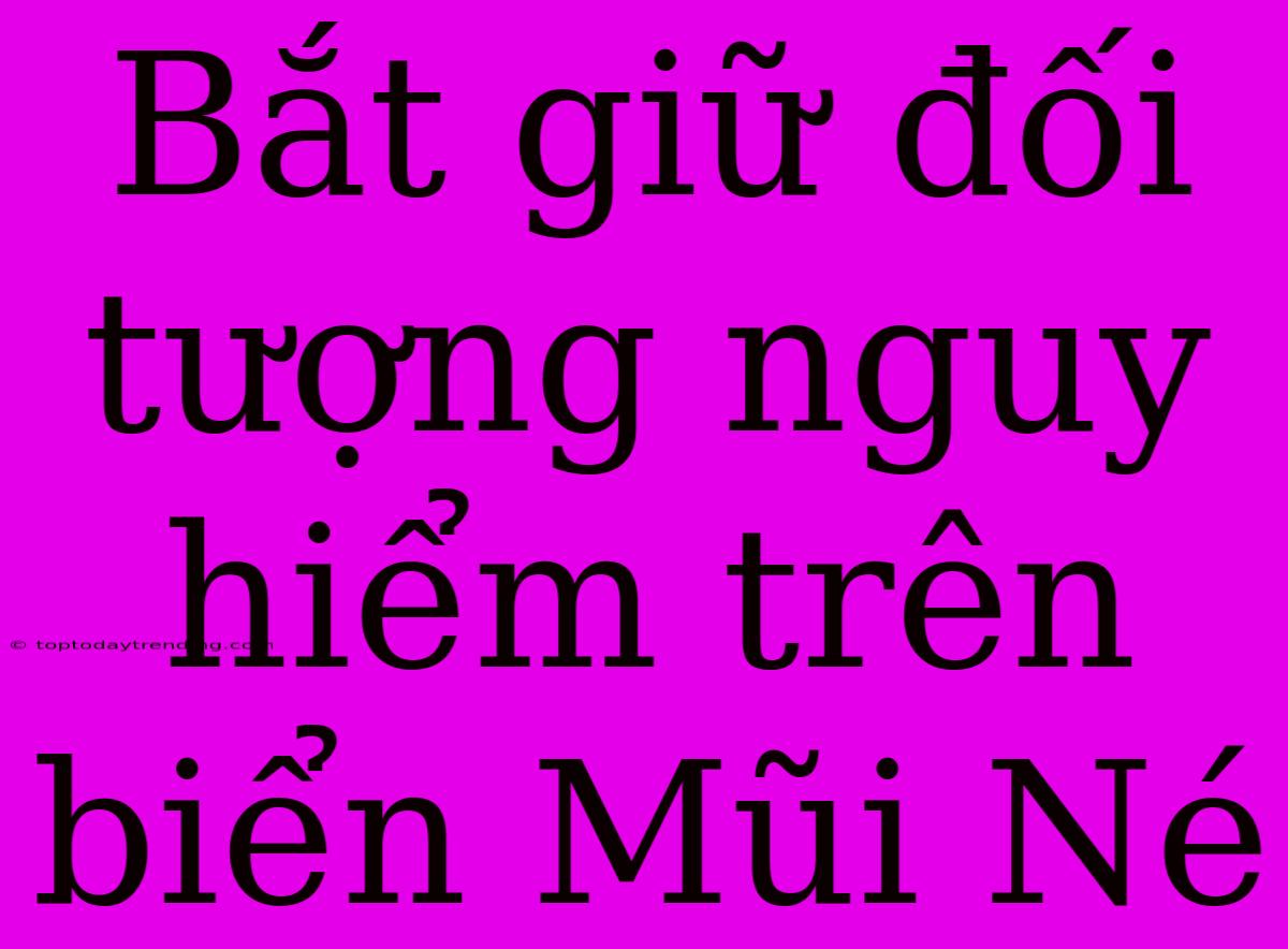 Bắt Giữ Đối Tượng Nguy Hiểm Trên Biển Mũi Né