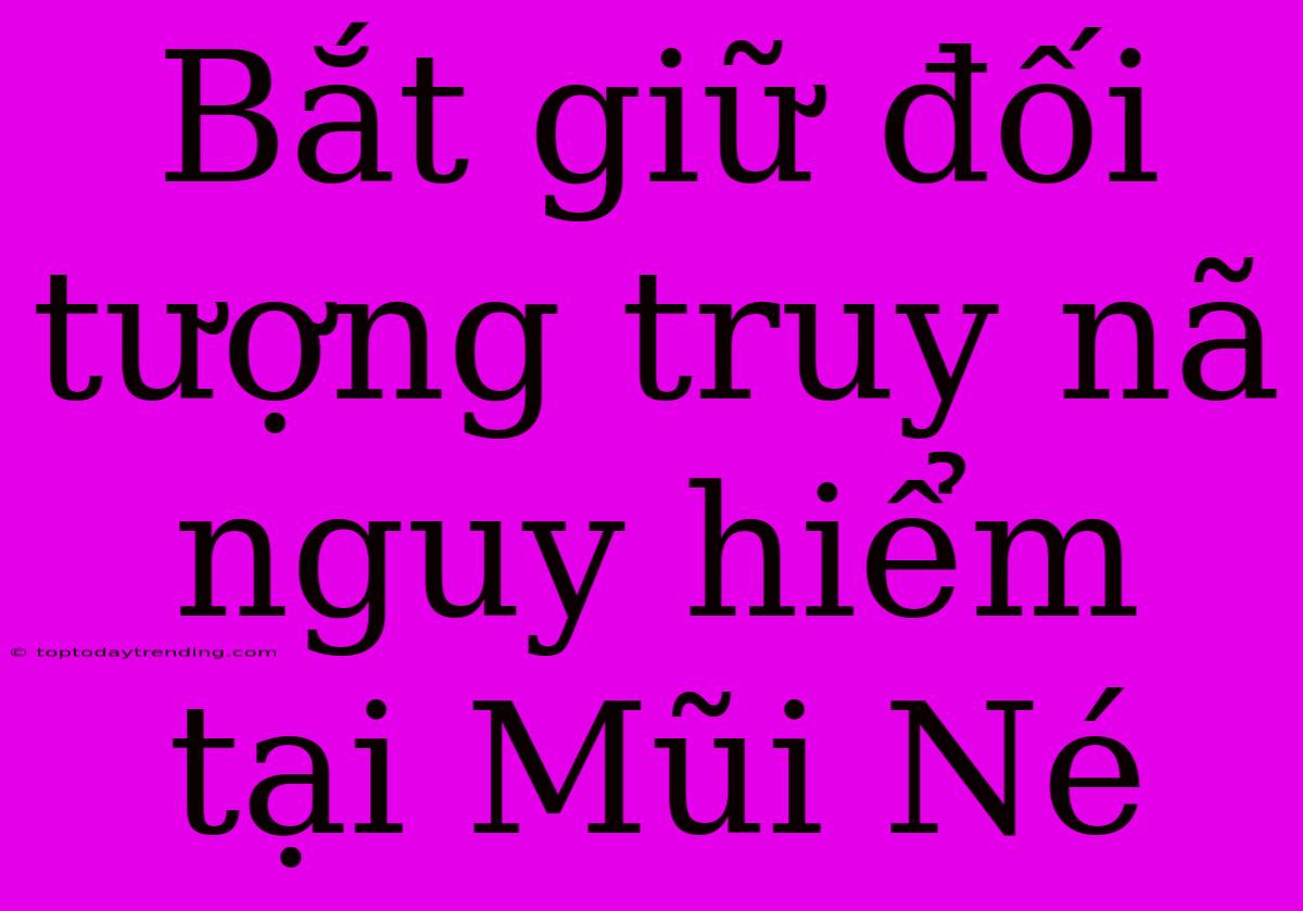 Bắt Giữ Đối Tượng Truy Nã Nguy Hiểm Tại Mũi Né