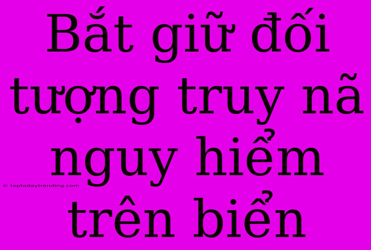 Bắt Giữ Đối Tượng Truy Nã Nguy Hiểm Trên Biển