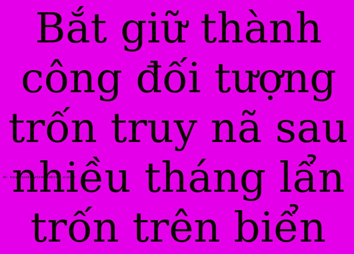 Bắt Giữ Thành Công Đối Tượng Trốn Truy Nã Sau Nhiều Tháng Lẩn Trốn Trên Biển