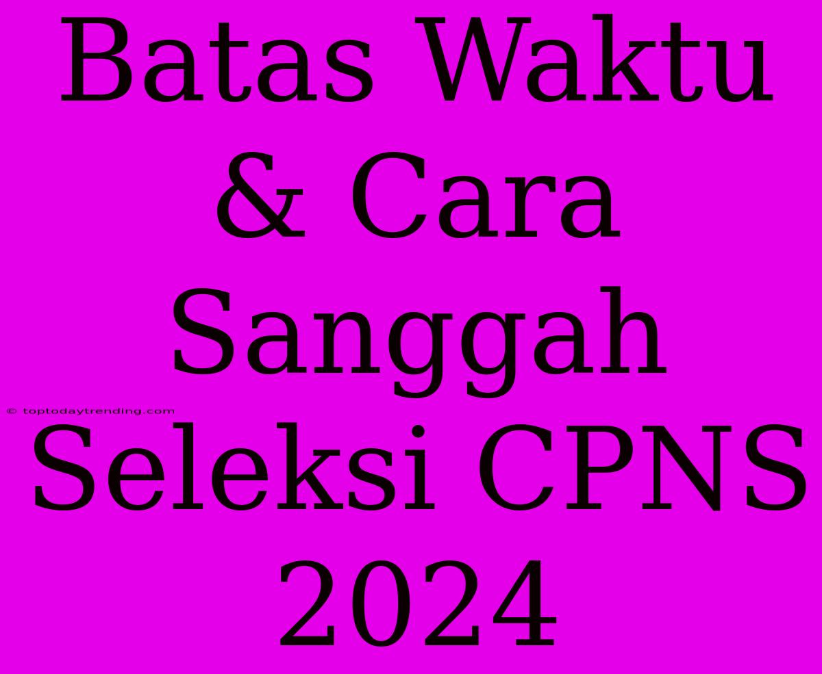 Batas Waktu & Cara Sanggah Seleksi CPNS 2024