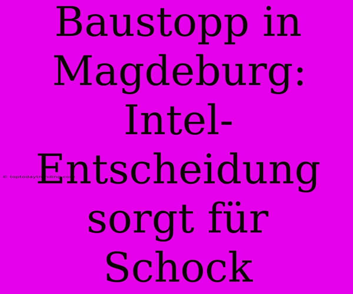 Baustopp In Magdeburg: Intel-Entscheidung Sorgt Für Schock