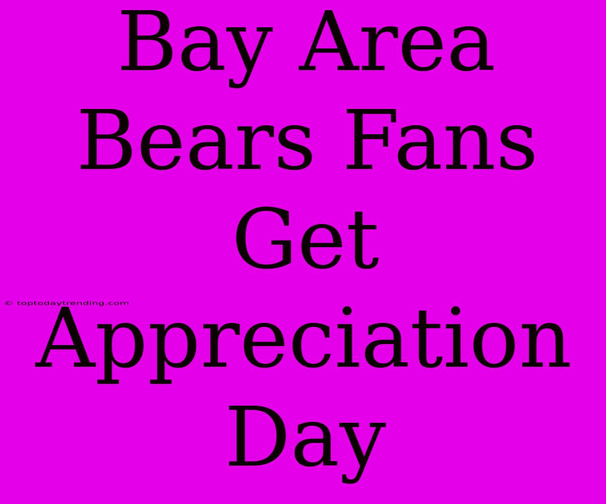 Bay Area Bears Fans Get Appreciation Day