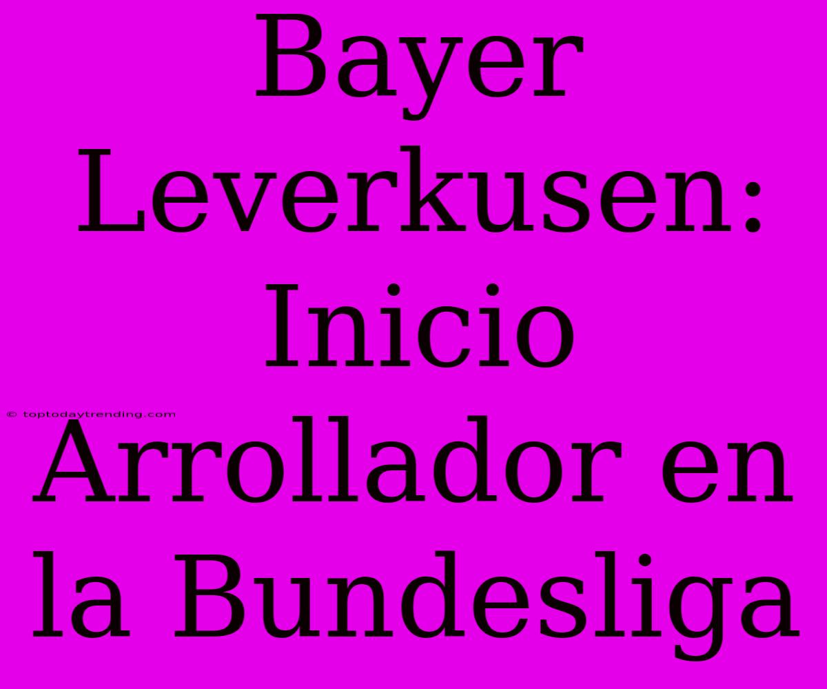 Bayer Leverkusen: Inicio Arrollador En La Bundesliga