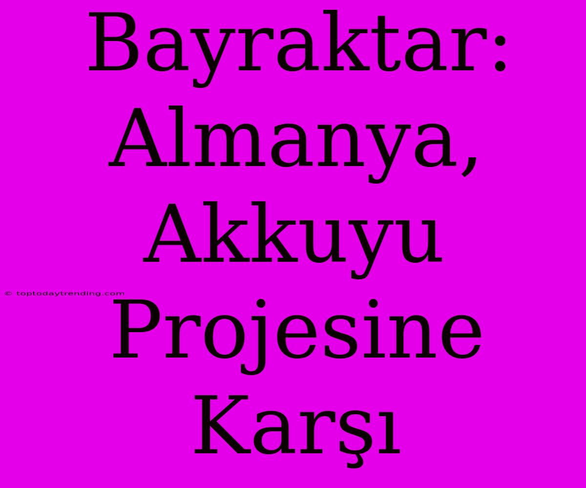 Bayraktar: Almanya, Akkuyu Projesine Karşı