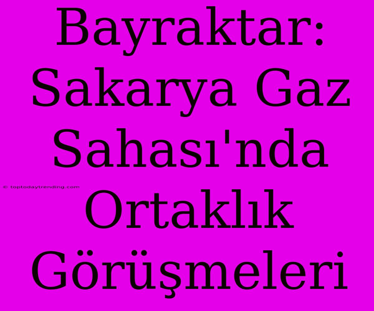 Bayraktar: Sakarya Gaz Sahası'nda Ortaklık Görüşmeleri