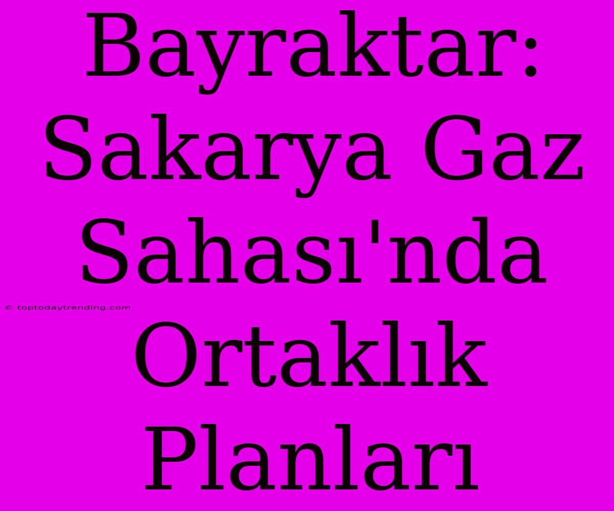 Bayraktar: Sakarya Gaz Sahası'nda Ortaklık Planları