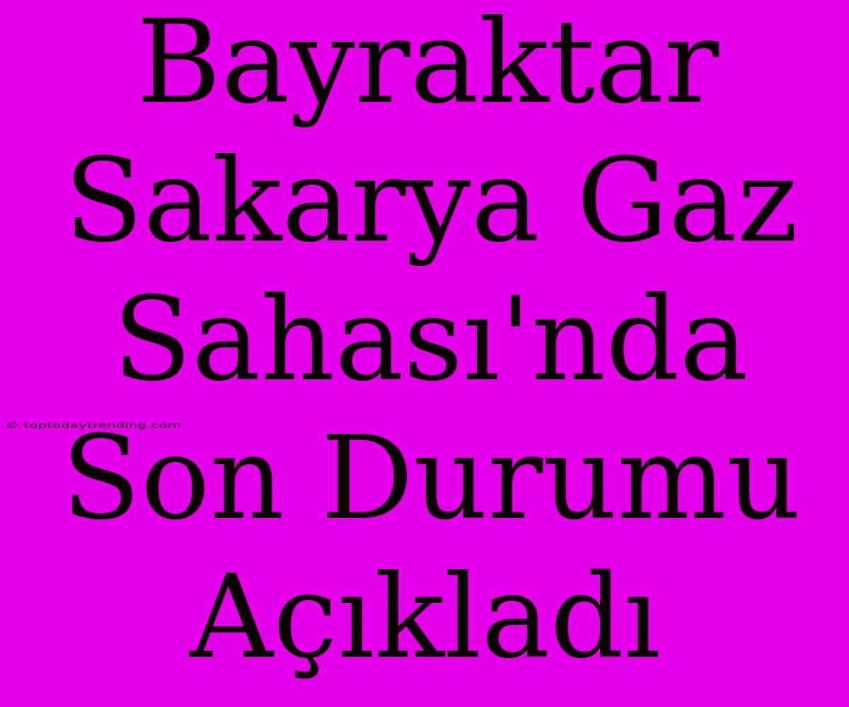 Bayraktar Sakarya Gaz Sahası'nda Son Durumu Açıkladı