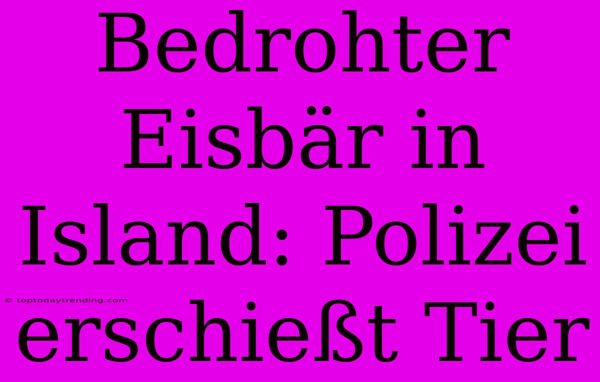 Bedrohter Eisbär In Island: Polizei Erschießt Tier