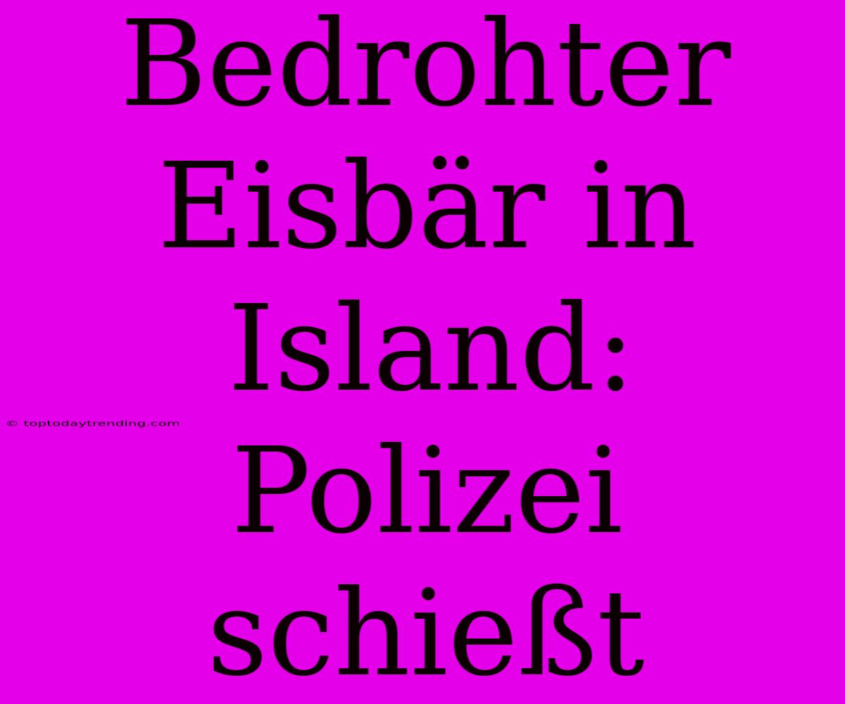 Bedrohter Eisbär In Island: Polizei Schießt