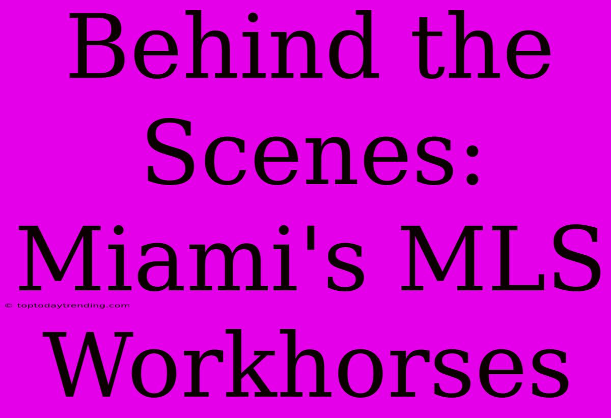 Behind The Scenes: Miami's MLS Workhorses