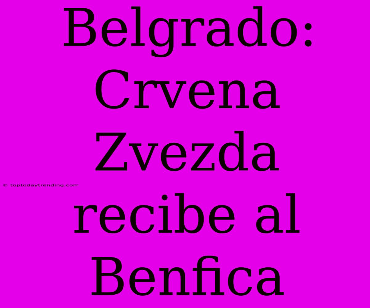 Belgrado: Crvena Zvezda Recibe Al Benfica