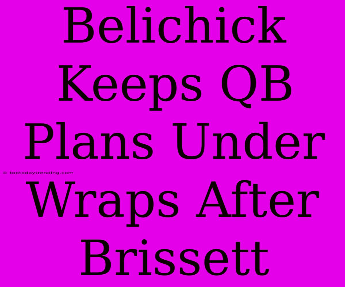 Belichick Keeps QB Plans Under Wraps After Brissett