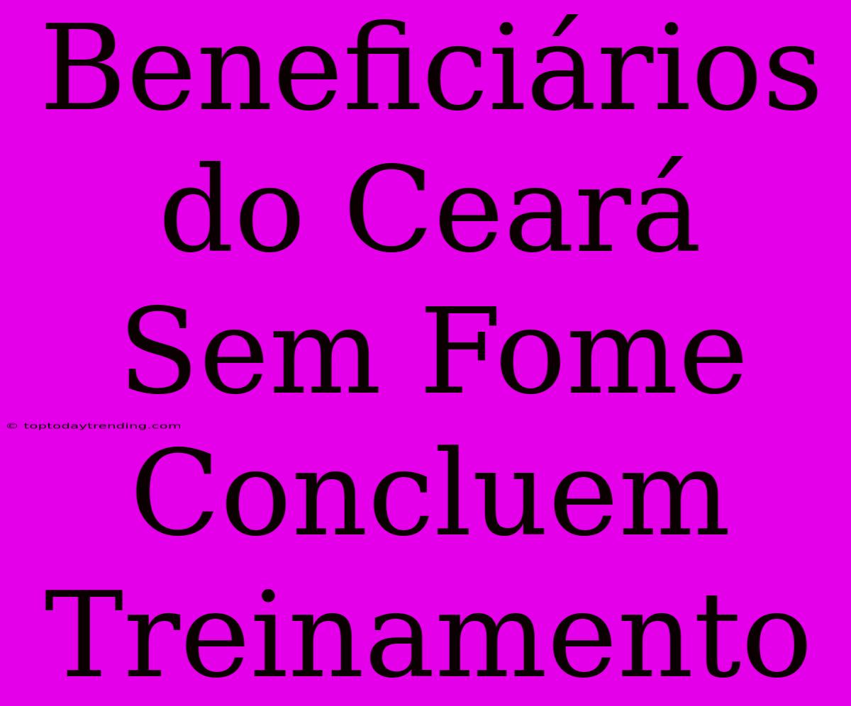 Beneficiários Do Ceará Sem Fome Concluem Treinamento