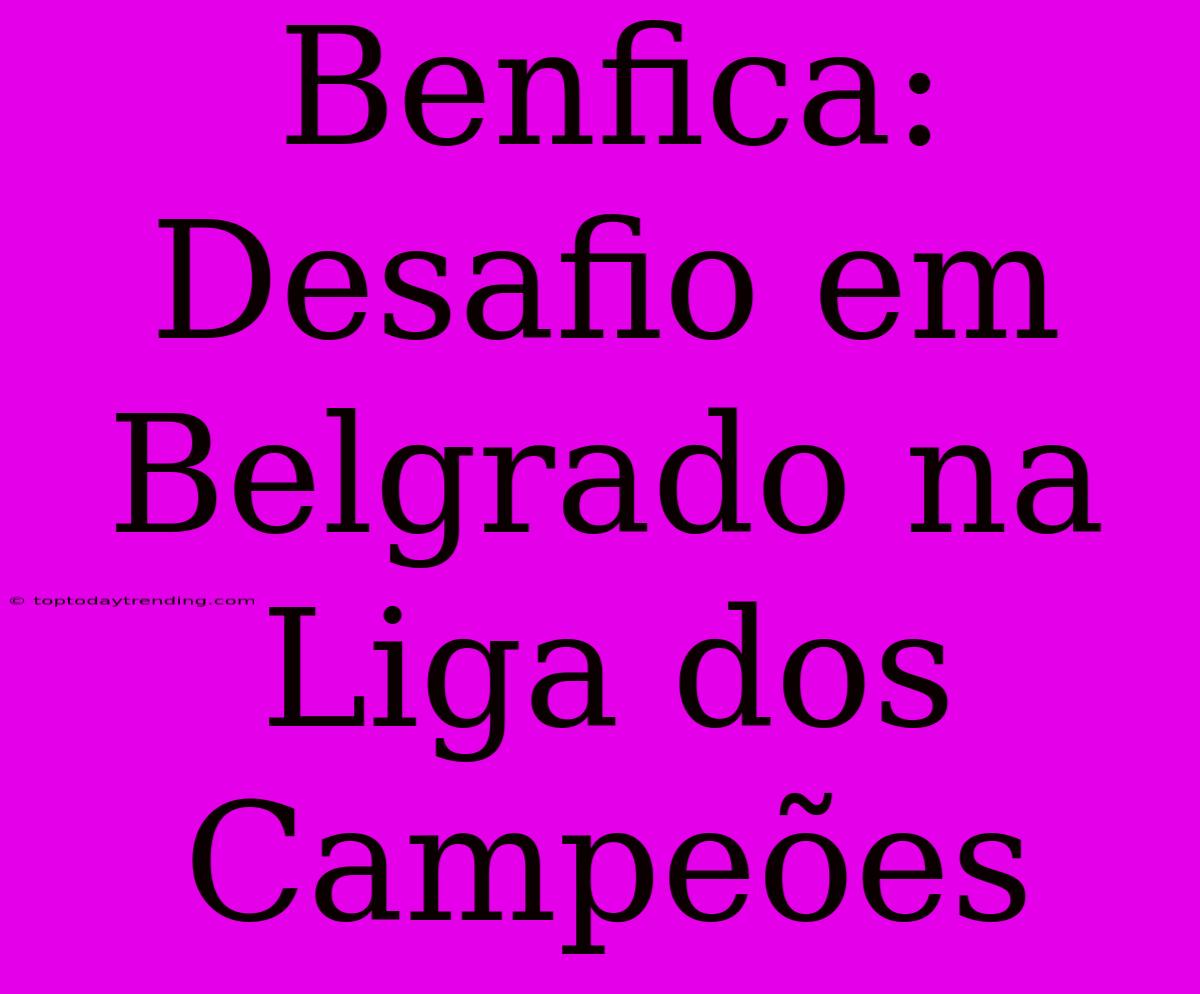 Benfica: Desafio Em Belgrado Na Liga Dos Campeões