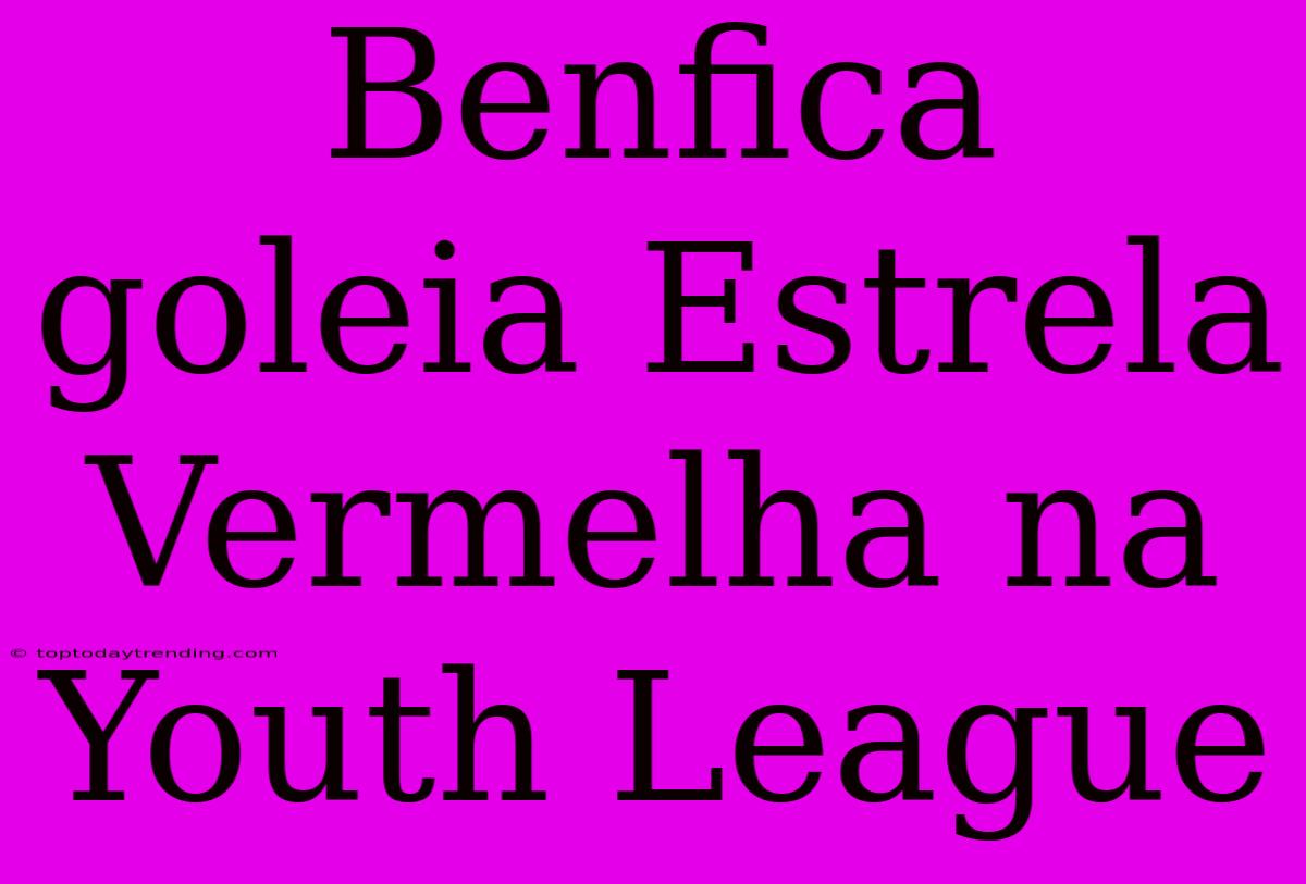 Benfica Goleia Estrela Vermelha Na Youth League