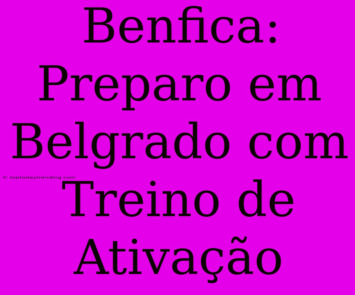 Benfica: Preparo Em Belgrado Com Treino De Ativação