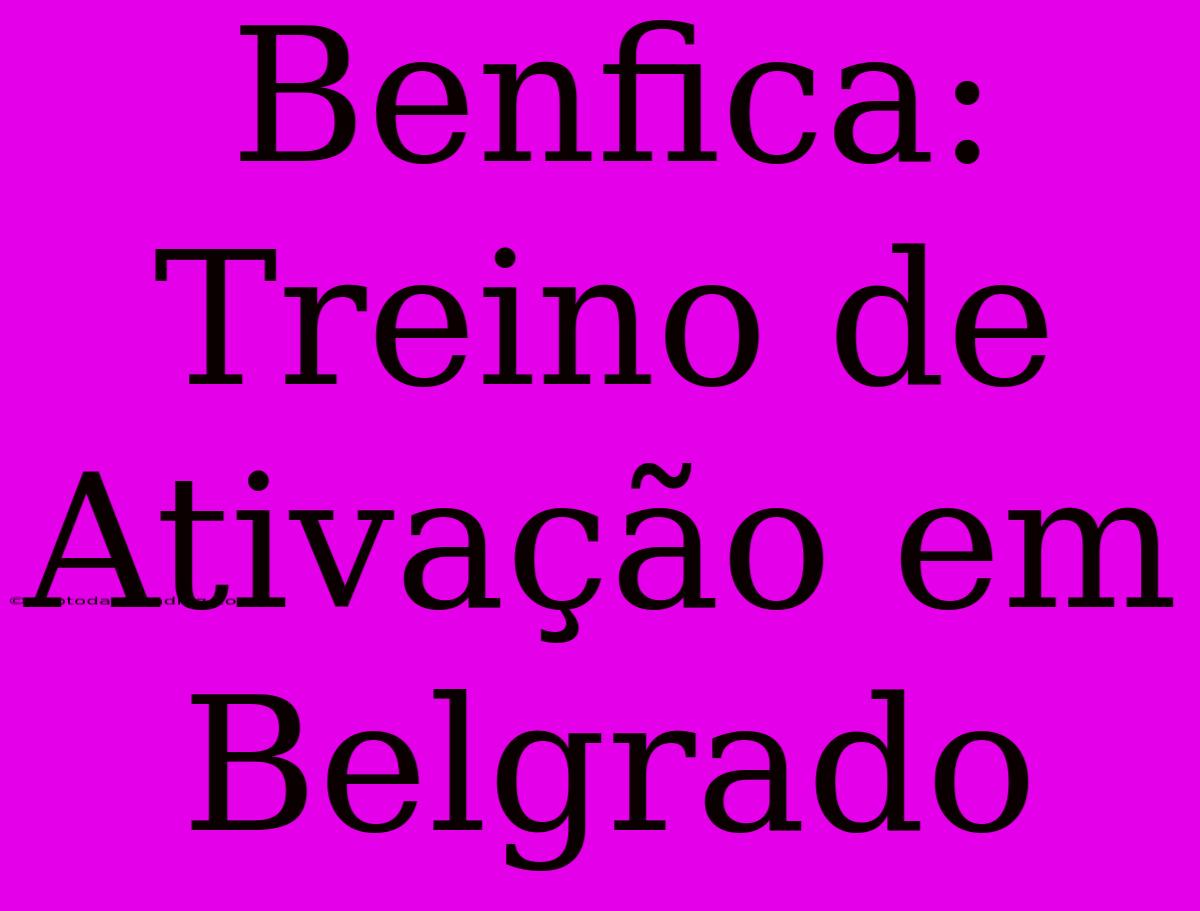 Benfica: Treino De Ativação Em Belgrado