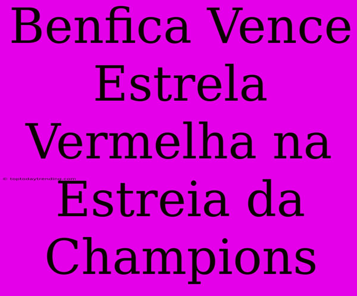 Benfica Vence Estrela Vermelha Na Estreia Da Champions