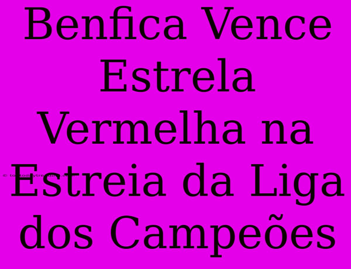 Benfica Vence Estrela Vermelha Na Estreia Da Liga Dos Campeões