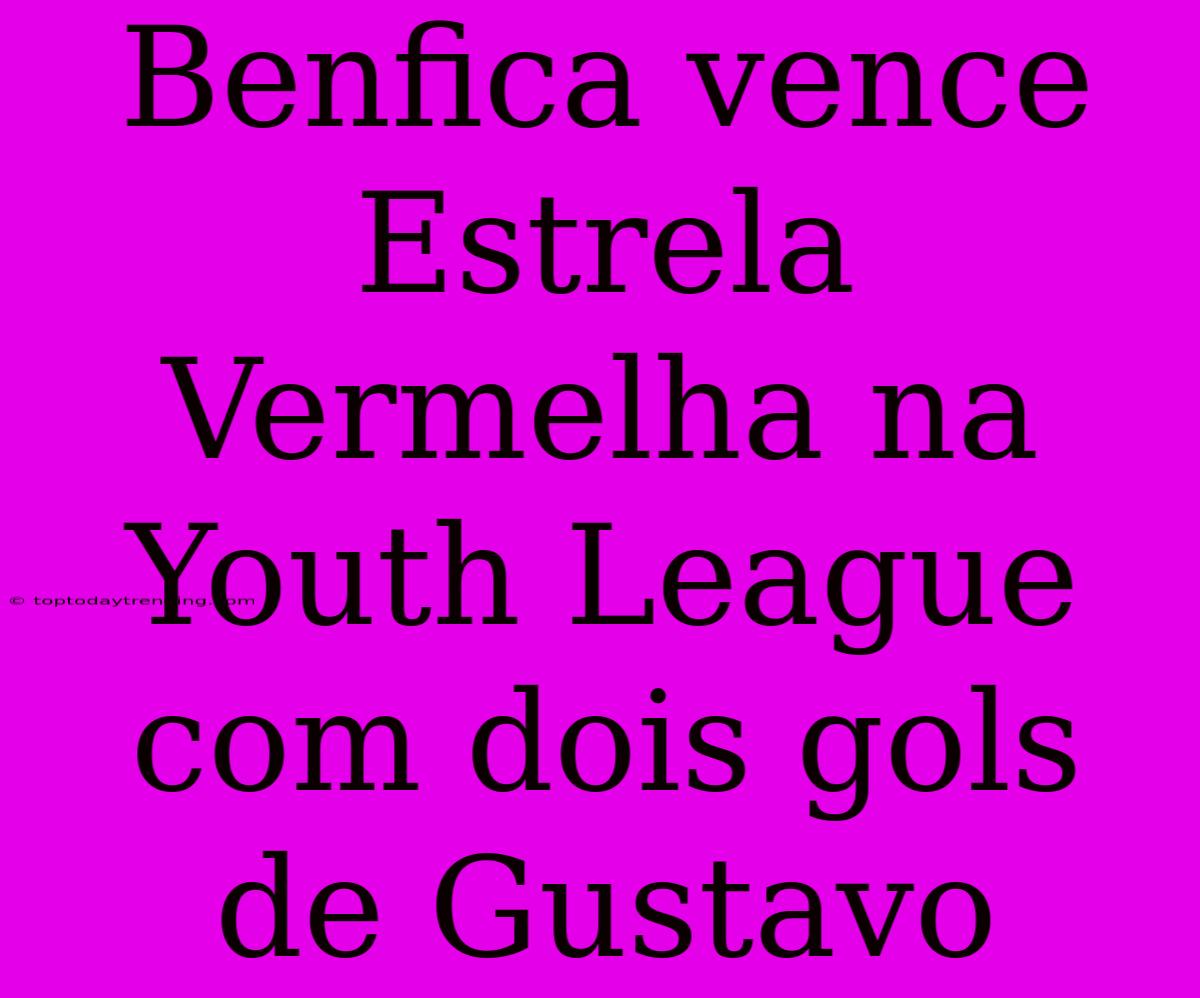 Benfica Vence Estrela Vermelha Na Youth League Com Dois Gols De Gustavo