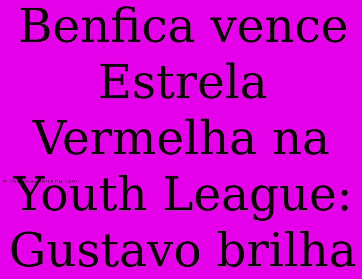 Benfica Vence Estrela Vermelha Na Youth League: Gustavo Brilha